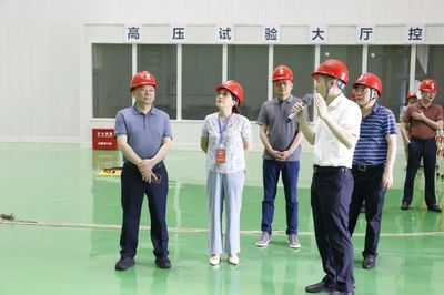 走項(xiàng)目、進(jìn)工地、察實(shí)情——區(qū)人大常委會(huì)視察全區(qū)重點(diǎn)項(xiàng)目建設(shè)工作，關(guān)注智能家電產(chǎn)業(yè)新動(dòng)能
